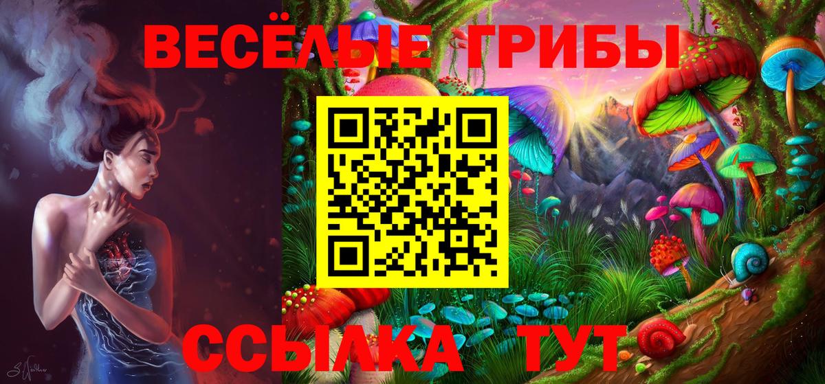 Псилоцибиновые грибы мухоморы Шебекино