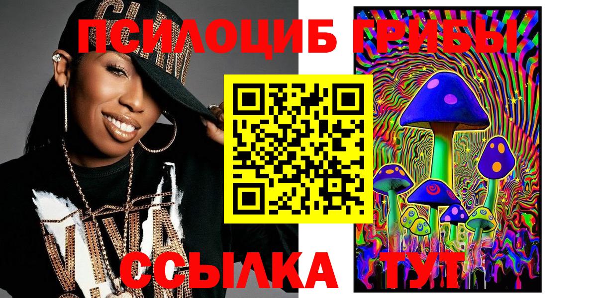 Шебекино  Галлюциногенные грибы Psilocybe  Вход с VPN 